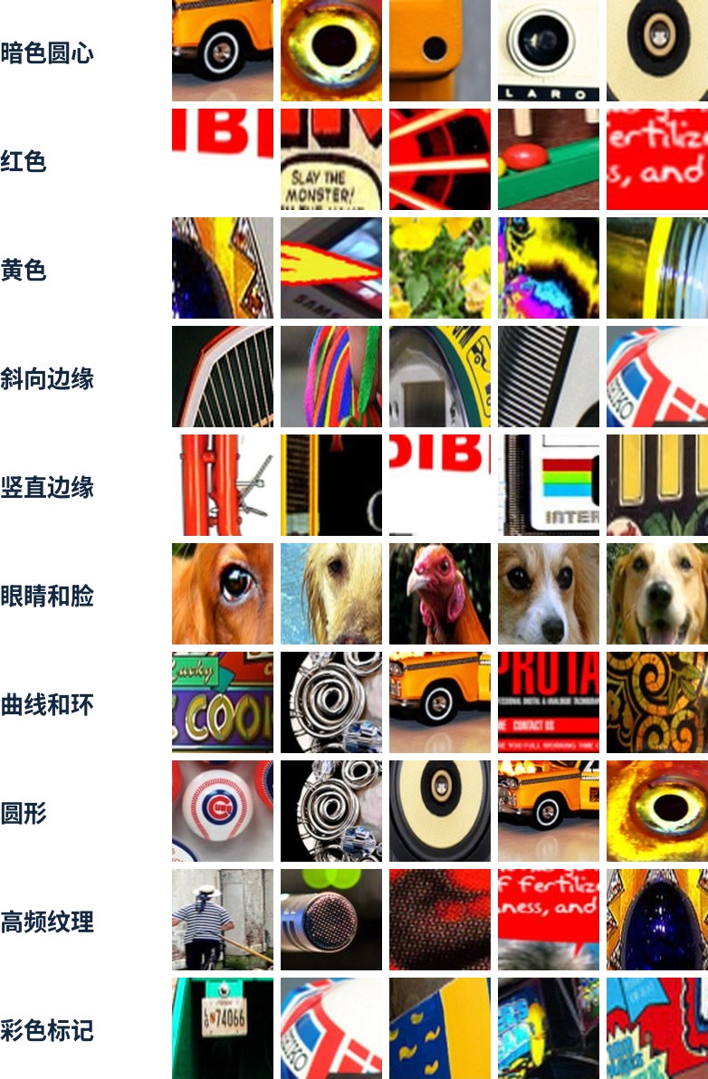 InceptionV1 从头重训，3b 层从 480 个神经元砍到 10 个、没有旁路。每行是一个神经元和它最强的五个真实图片片段。ImageNet top-1 准确率 58.35%，top-5 为 81.14%